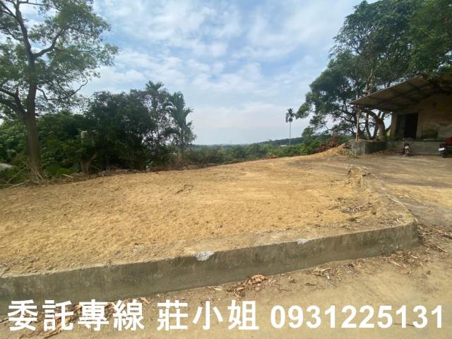 大內農地-3