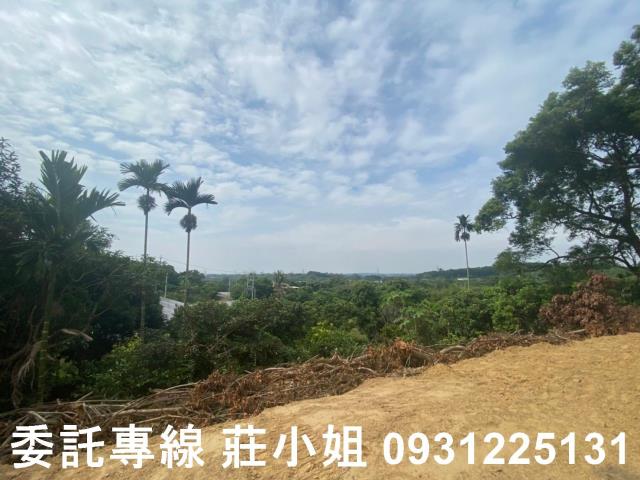 大內農地-4