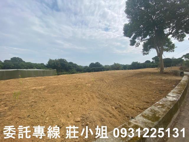 大內農地-9