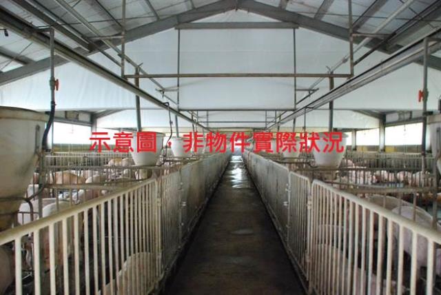 屏東麟洛農地-1