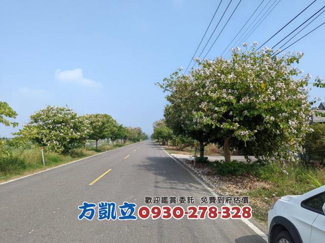 官田農地-4