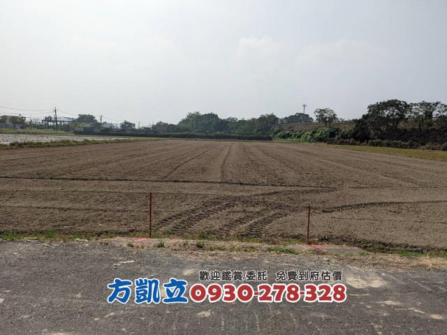 官田農地-8