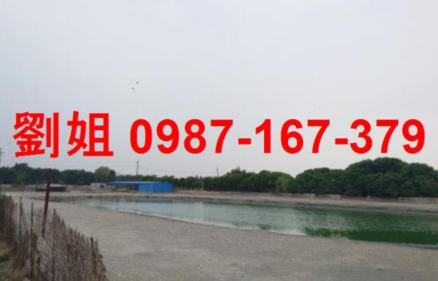 萬丹建地-1