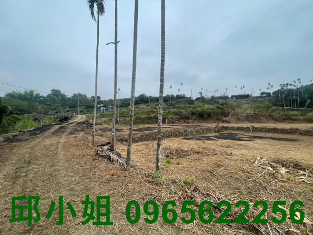嘉義竹崎農地-3