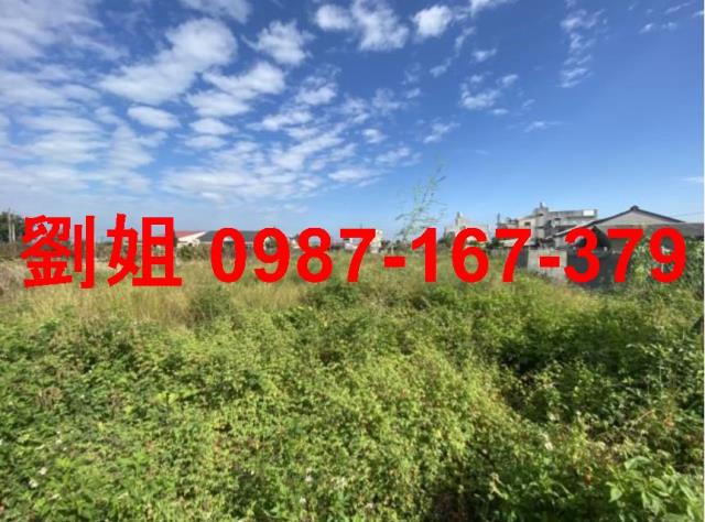 台南麻豆農地-1