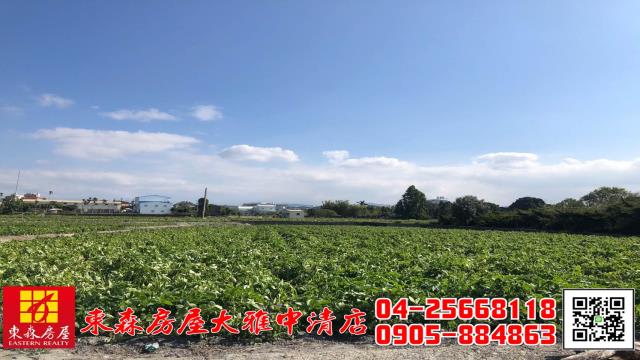 台中農地-9
