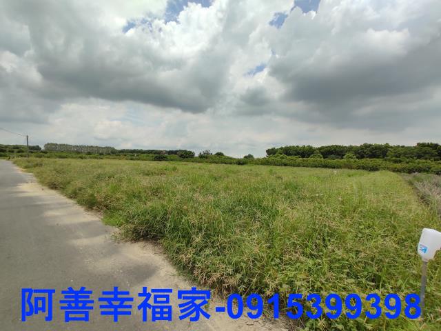 玉井農地-9