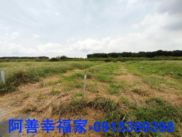 玉井農地-1