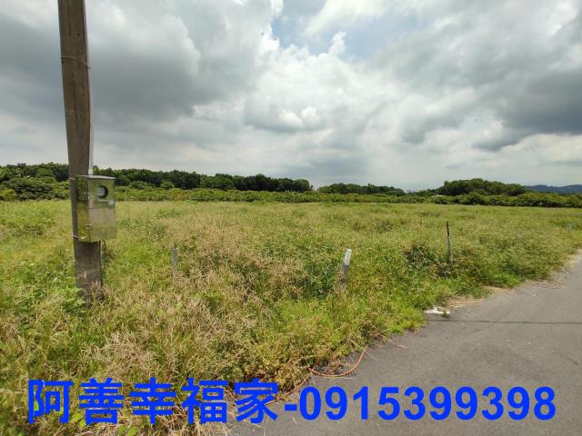 玉井農地-3