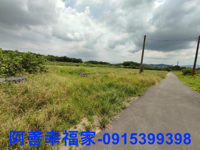 玉井農地-6