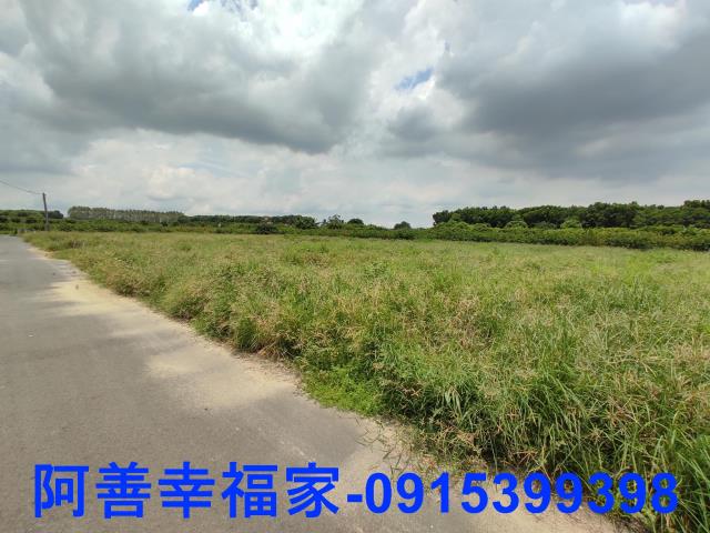 玉井農地-8
