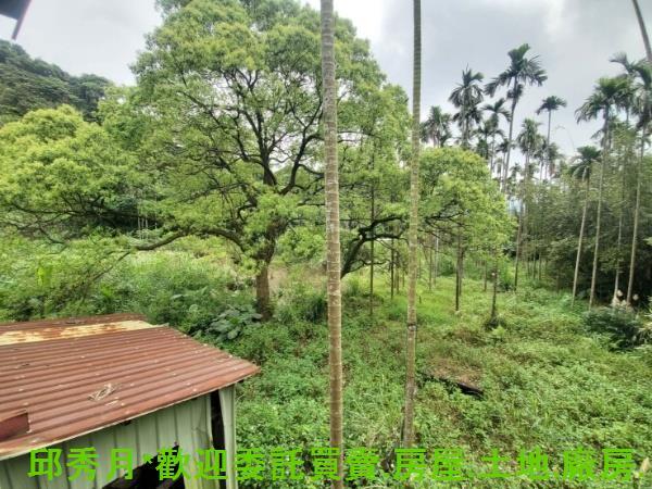 新北石門農地-11