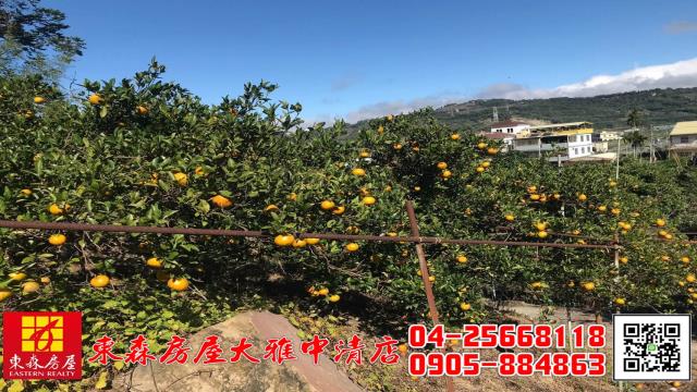 台中東勢農地-2