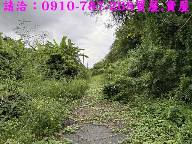 柳營農地-10