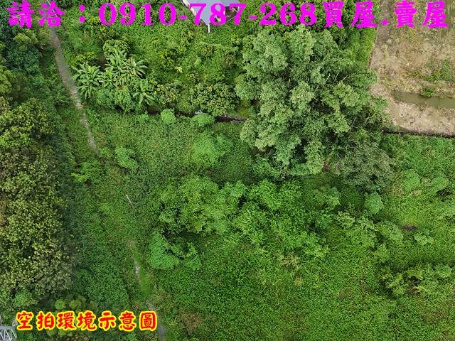 柳營農地-3