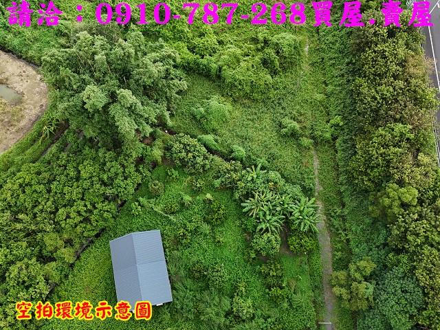 柳營農地-6
