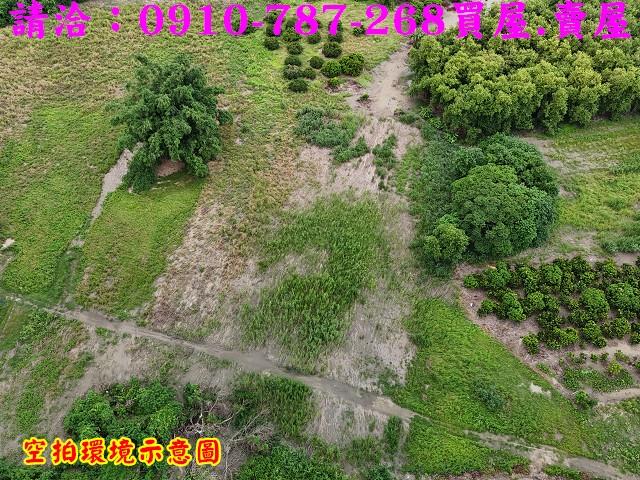 東山農地-4