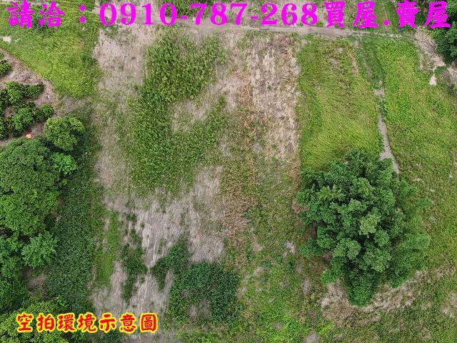 東山農地-7