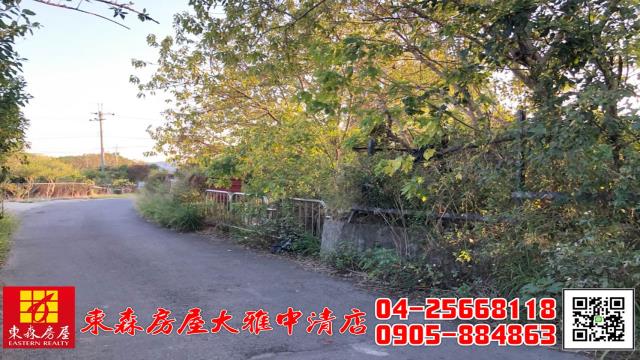 西屯農地-2