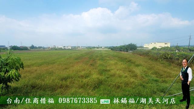 善化農地-9