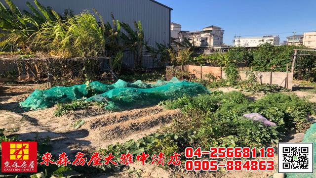 台中大雅農地-4