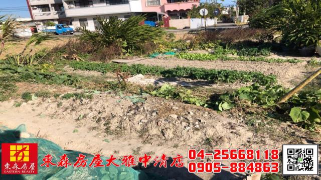 台中大雅農地-5
