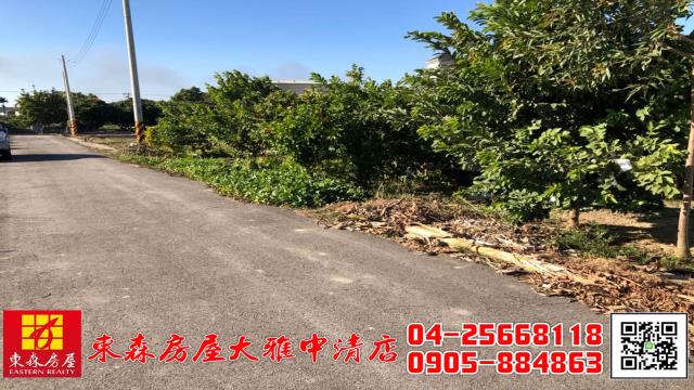 台中大雅農地-7