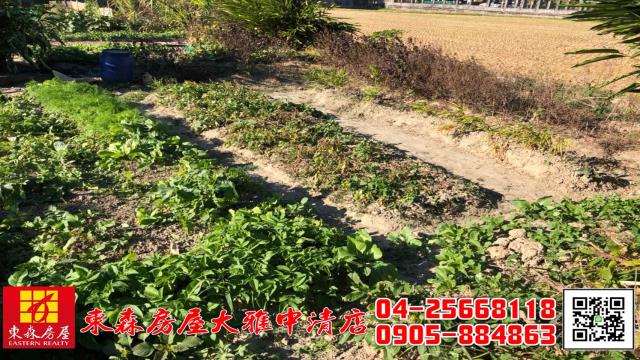 台中大雅農地-9