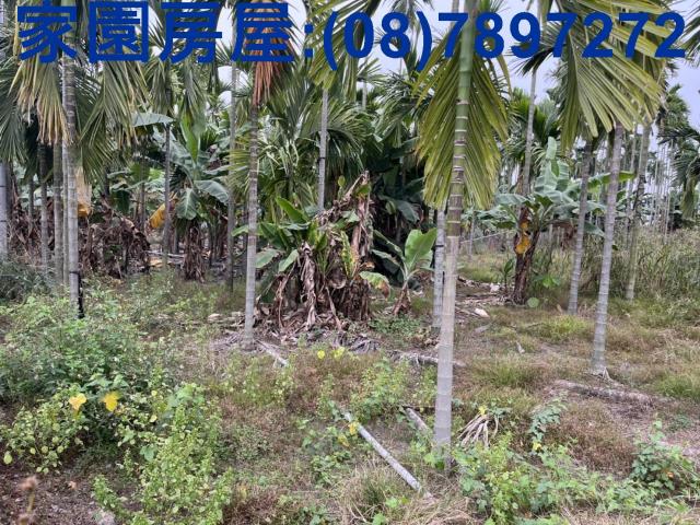 屏東萬丹農地-1