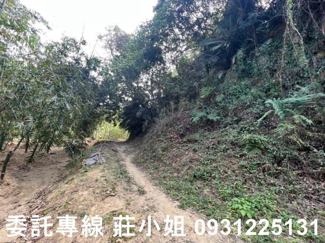 左鎮農地-6