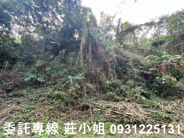 左鎮農地-7