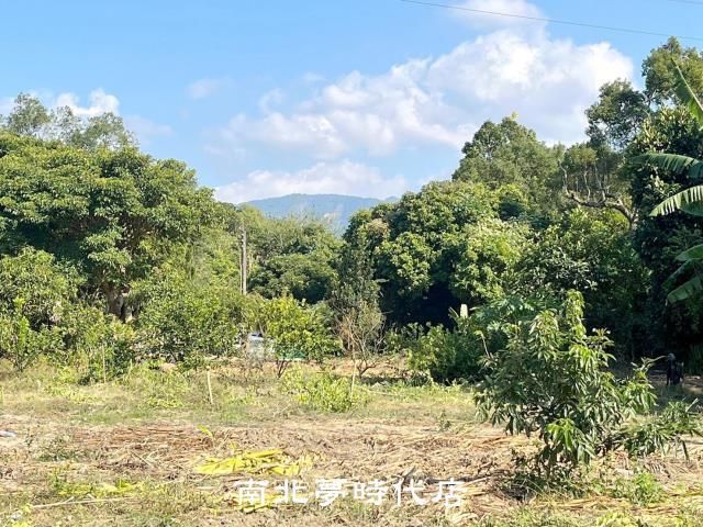 台南楠西農地-10