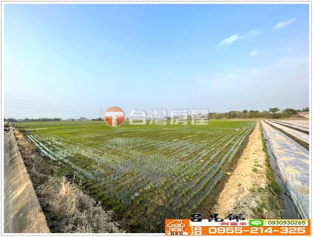 白河農地-4