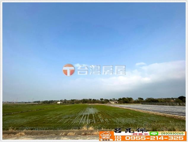白河農地-5