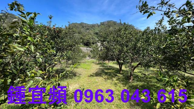 新竹芎林農地-14