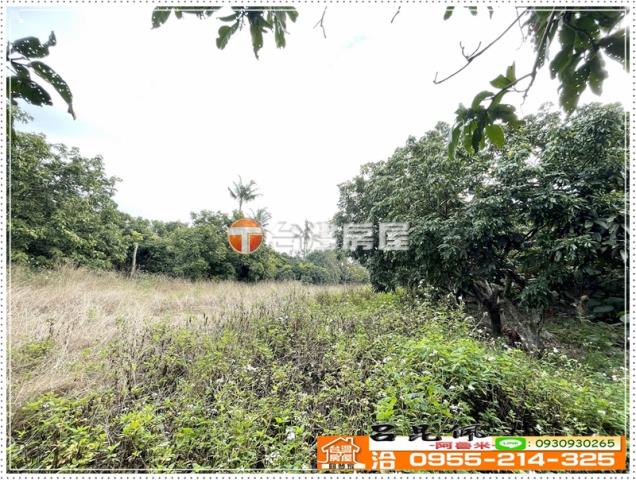 番路農地-6