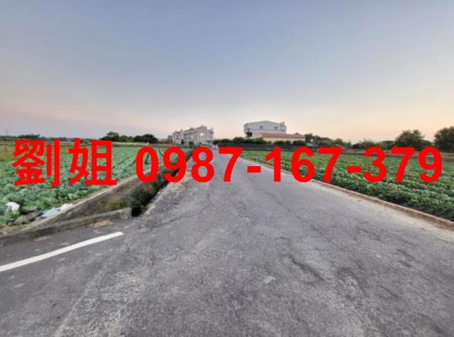 台南新市農地-1