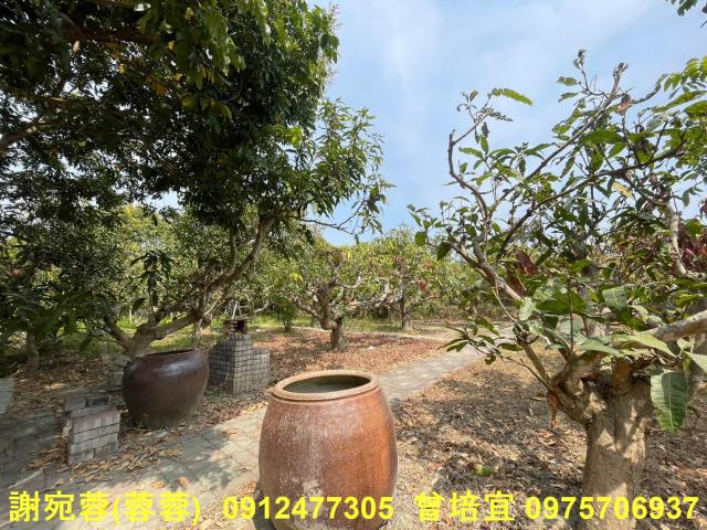 田寮農地-4