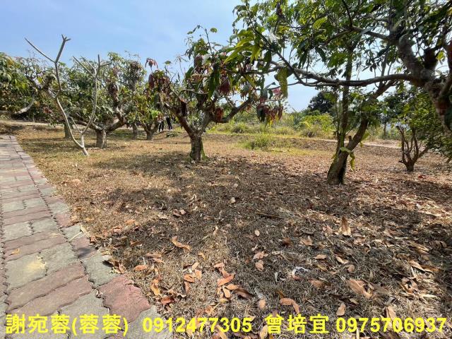 田寮農地-7
