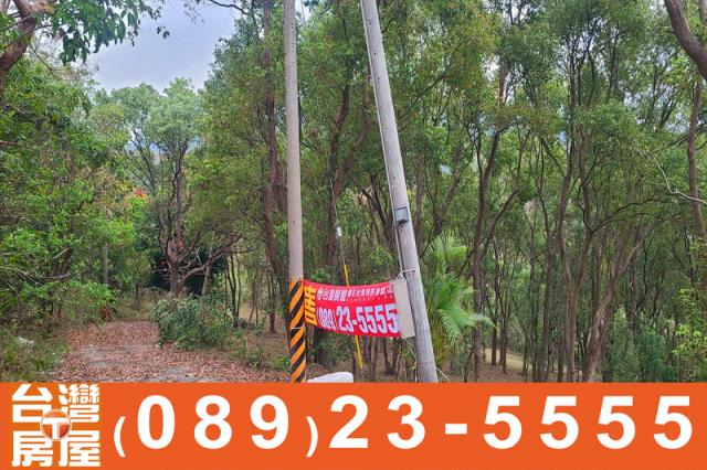 台東卑南農地-2