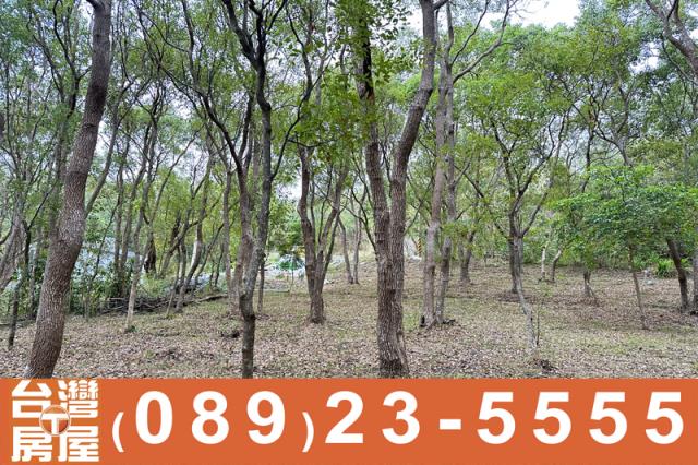 台東卑南農地-6