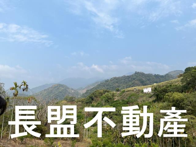 東勢休閒地-10