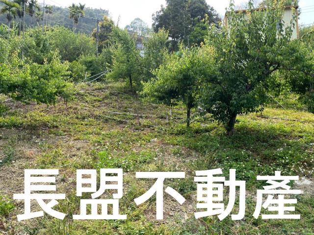 東勢休閒地-7