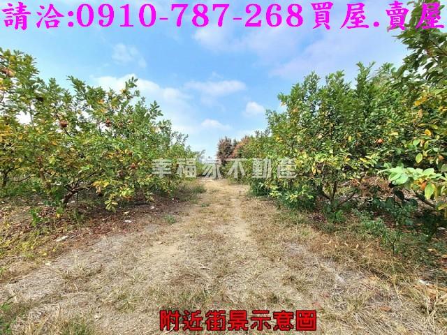台南玉井農地-3