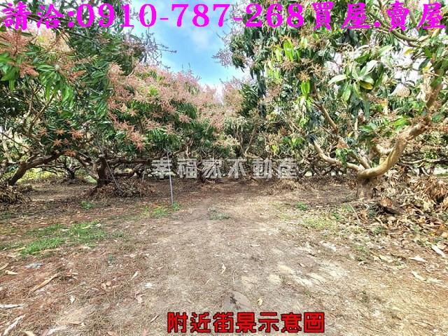 台南玉井農地-5