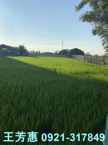 后里農地-3