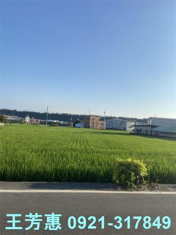 后里農地-4