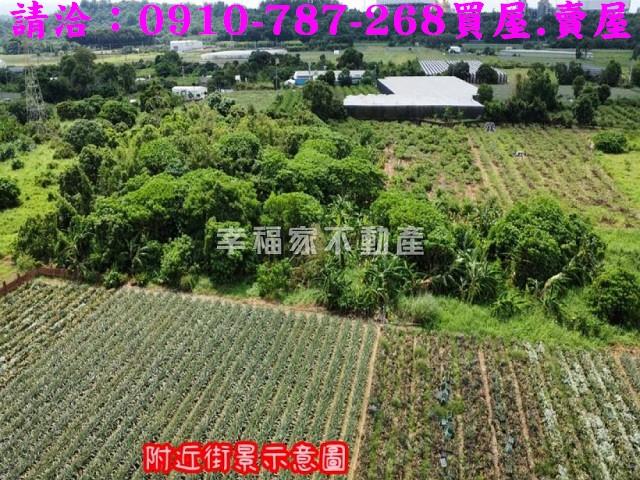 台南山上農地-7