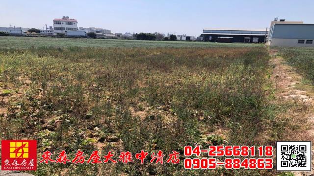 台中大雅農地-1