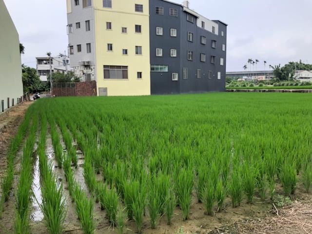 台中大雅農地-3